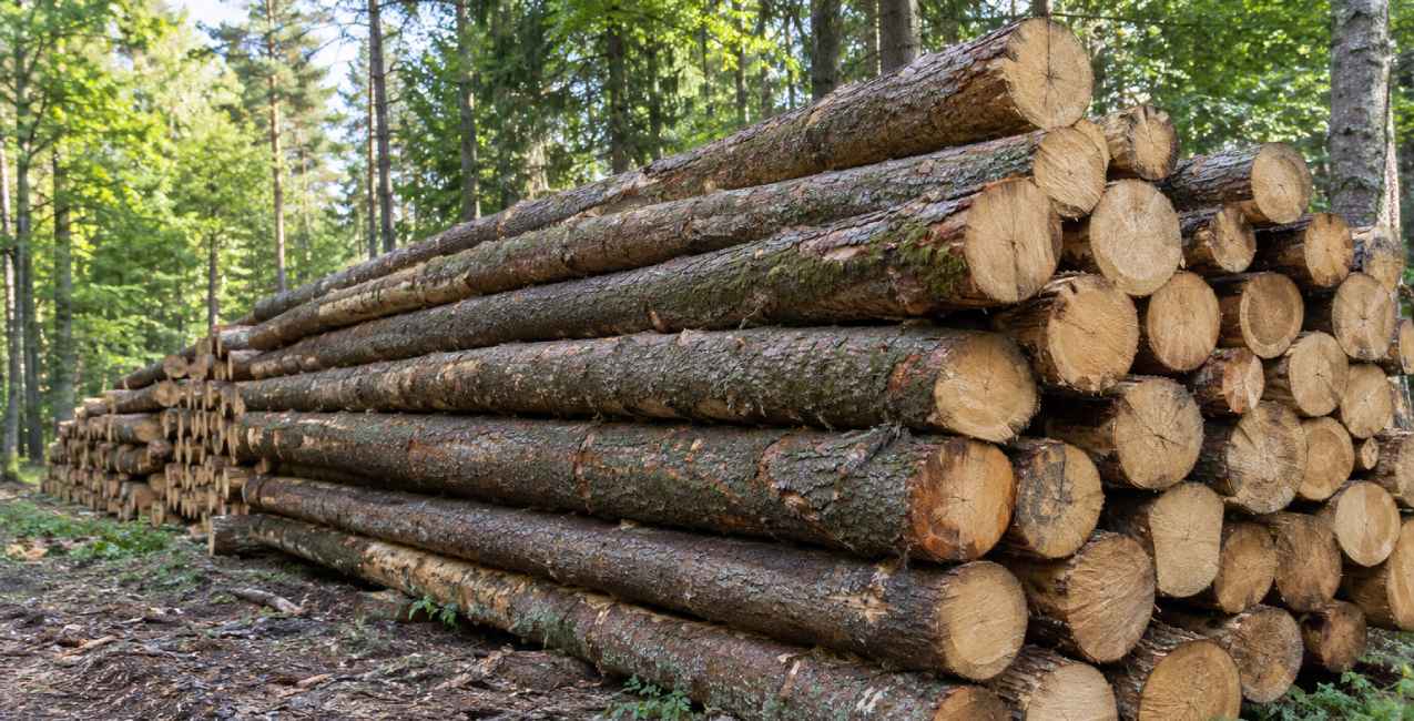 logs